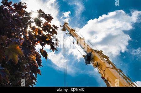 Crane Arm während Arbeiten in Höhen auf Gebäude. Romantische Schuß von unten mit Baum, Himmel, Wolken und Sonnenstrahlen. Stockfoto