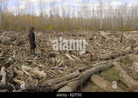 Dieses Bild zeigt Trümmer, die nach einer Überschwemmung entlang eines Flusses gespült wurden, und veranschaulicht die starken Auswirkungen von Überschwemmungen. Er hebt die Umweltauswirkungen von Naturkatastrophen auf lokale Ökosysteme hervor. Stockfoto