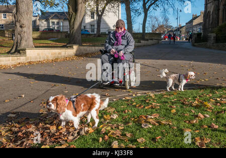 Eine behinderte Frau in einem elektrischen Rollstuhl, Lächeln für die Kamera, während die zwei Hunde an der Leine Stockfoto