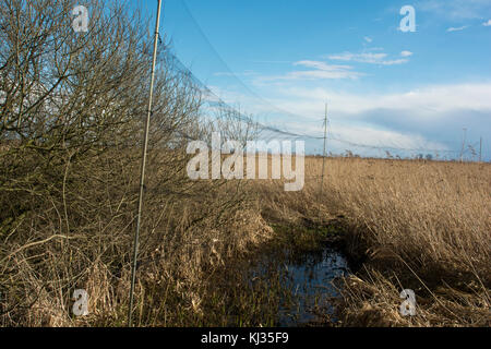 Siehe (Rietzer See Rietz) ist ein Naturschutzgebiet in der Nähe der Stadt Brandenburg im Nordosten Deutschlands mit zwei flachen Seen und Feuchtgebiete Stockfoto