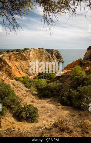 Karge Landschaft auf den Klippen in der Region der Algarve, Portugal Stockfoto