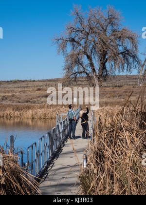 Besucher überqueren Sie eine Brücke über den See Ladora Loop Trail, Herbst, Rocky Mountain Arsenal National Wildlife Refuge, Commerce City, Colorado. Stockfoto