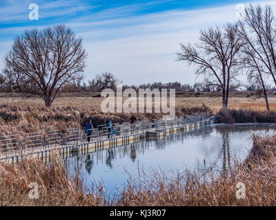 Besucher überqueren Sie eine Brücke über den See Ladora Loop Trail, Herbst, Rocky Mountain Arsenal National Wildlife Refuge, Commerce City, Colorado. Stockfoto