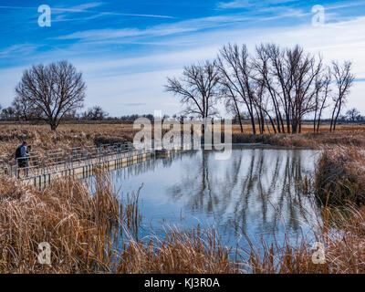 Besucher überqueren Sie eine Brücke über den See Ladora Loop Trail, Herbst, Rocky Mountain Arsenal National Wildlife Refuge, Commerce City, Colorado. Stockfoto