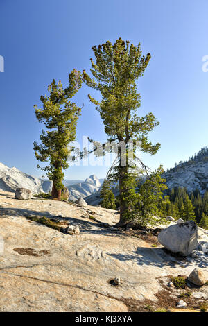 Yosemite National Park: Olmsted Point - der Blick von Olmsted Point im Yosemite National Park einschließlich Half Dome im Hintergrund. Stockfoto