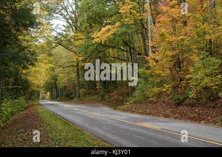 Herbst Laub entlang Little River Road, Great Smoky Mountains National Park, Tennessee Stockfoto