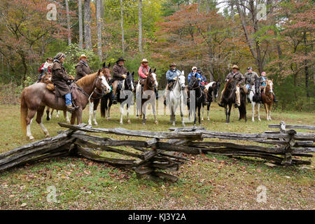 Wanderreiter inmitten Herbst Laub, Cades Cove, Great Smoky Mountains National Park, Tennessee Stockfoto