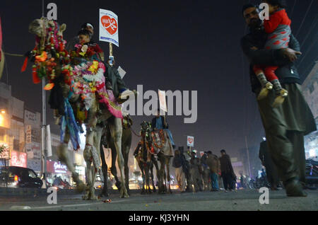 Lahore, Pakistan. 21 Nov, 2017. das pakistanische Volk aus einer religiösen Gruppe tehreek minhaj ul Quran (Pat) Teilnahme an einer Fackel Rallye des Monats rabiul awwal in Verbindung mit Feiern von Eid milad-un-Nabi, willkommen in Lahore am 20. November 2017. Credit: rana sajid Hussain/Pacific Press/alamy leben Nachrichten Stockfoto