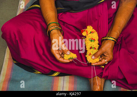 Frau devotee, tragen 9 Yard saree, gelbe Blumen Girlande für die zeremonielle Puja der Gottheit. Patit Pavan Sri Ram Mandir, Belgavi, Karnataka Stockfoto