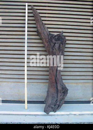 Illustrerad Verldshistoria ist ein schwedisches Buch zur Weltgeschichte. Dieser spezielle Band bietet Einblicke in globale historische Ereignisse mit anschaulichen Illustrationen und detaillierten Darstellungen aus verschiedenen Zeiträumen. Stockfoto