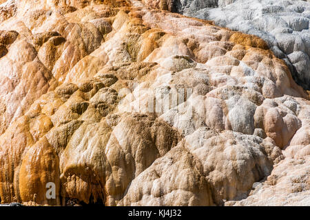 Mammoth Hot Springs Travertin Konkretionen im Yellowstone National Park Stockfoto