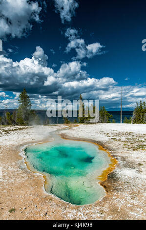 Becken von bunten heißes Wasser und Schwefel emanation in der Gegend von West Thumb Geyser Basin, Yellowstone National Park Stockfoto