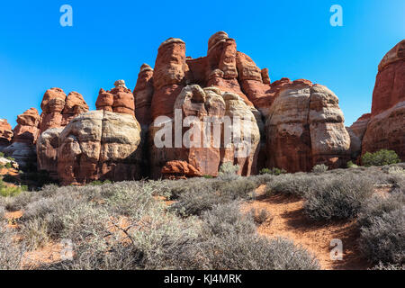 Nadeln Felsformationen im Canyonlands National Park Stockfoto