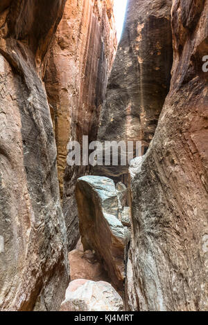 Schmalen Weg zwischen Felsen im Needles District, Canyonlands Stockfoto