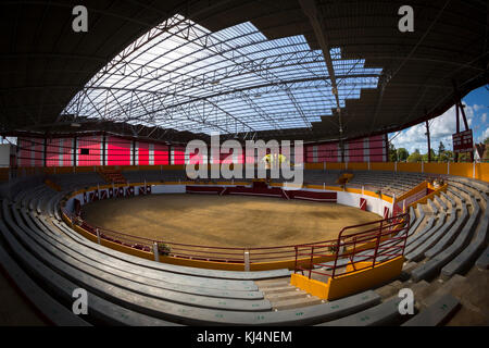 Eine Innenansicht der vor Kurzem renovierten Pomarez Arena (40360) (Landes (40), Nouvelle-Aquitaine, Frankreich). Stockfoto