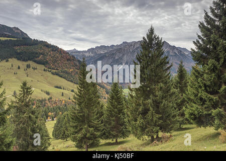 In den Wäldern in der Nähe der Bad Hindelang oberjoch Pass Stockfoto