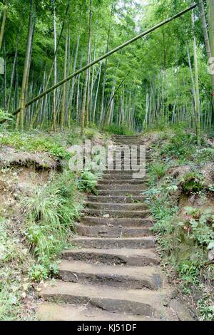 Treppe nach oben in den Bambus Wald an der Moganshan in China Stockfoto