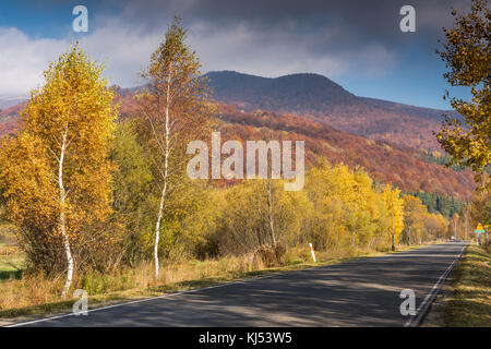 Leere Straße in der Wildnis von carpathia Berge, Polen. Stockfoto