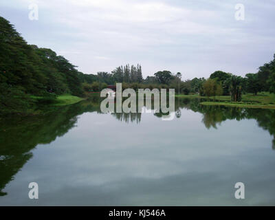 Taiping Lake Gardens Stockfoto