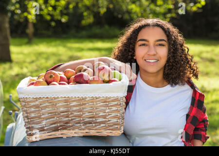 Schöne happy Mixed Race african american girl Teenager weibliche junge Frau lächelnd mit perfekte Zähne in einem Obstgarten ruht auf einem Traktor mit Korb Stockfoto