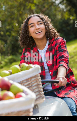 Schöne happy Mixed Race african american girl Teenager weibliche junge Frau lächelnd mit perfekte Zähne in einem Obstgarten beim Fahren eines Traktors mit Körben o Stockfoto