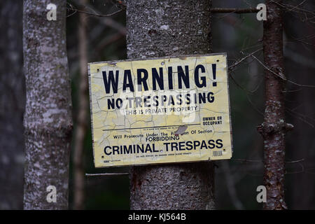 Alte Verschlechterung kein Übertreten Schild an einem Baum im Wald. Stockfoto