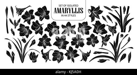 Eingestellt von isolierten Silhouette oder Amaryllis hippeastrum in 44 Stile. cute Hand gezeichnet Blume Vector Illustration in weißer Umriss und Schwarz auf Schwarz Stock Vektor