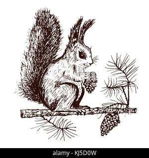 Weihnachten Eichhörnchen und Tier mit Fir-Kegel im Wald. Winterurlaub. graviert Hand in alte Skizze und Vintage Style für Postkarten erstellt. neues Jahr Symbol. Stock Vektor