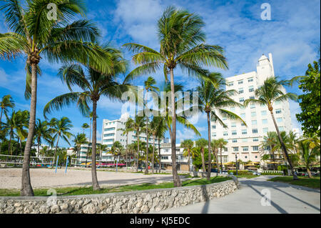 Blick auf Palmen in der Lummus Park mit Hintergrund der Art-deco-Ocean Drive in South Beach, Miami Stockfoto