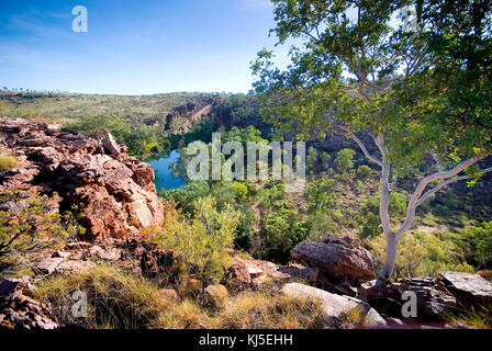 Die Schlucht, Boodjamulla (Lawn Hill Nationalpark im Nordwesten von Queensland, Australien Stockfoto