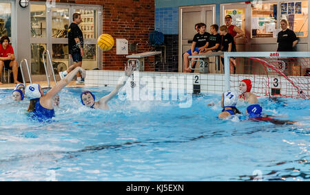 Fotos von einem Wasserball wm in Höganäs, Schweden. Cup November Cup fand im Sportzentrum, Höganäs. Stockfoto