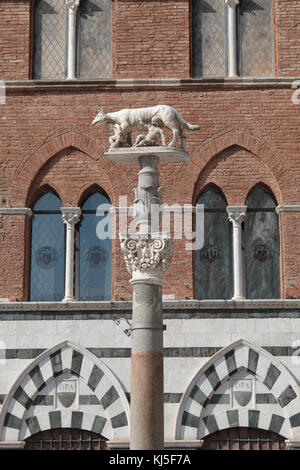 Kapitolinischen wolf Statue auf Spalte. Siena, Italien. Stockfoto