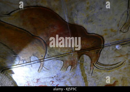 Höhlenmalereien in der Höhle von Altamira, in Kantabrien, Spanien gefunden, die aus dem oberen Paläolithikum. Stockfoto