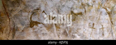 Höhlenmalereien in der Höhle von Altamira, in Kantabrien, Spanien gefunden, die aus dem oberen Paläolithikum. Stockfoto