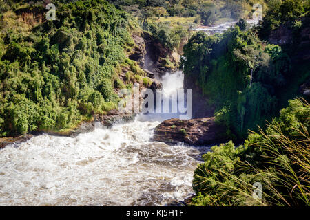 Zeigt sowohl die Wasserfälle des Murchison Falls, auch bekannt als Kabalega Falls, ist ein Wasserfall zwischen Kyoga und Lake Albert auf dem Weißen Nil Rive Stockfoto