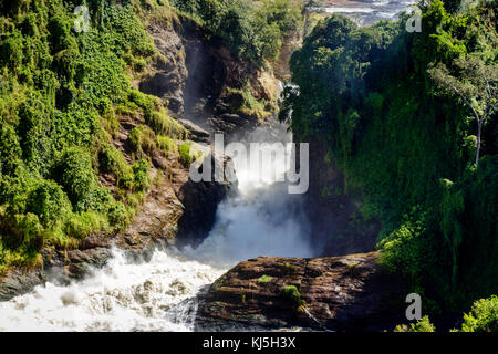 Zeigt sowohl die Wasserfälle des Murchison Falls, auch bekannt als Kabalega Falls, ist ein Wasserfall zwischen Kyoga und Lake Albert auf dem Weißen Nil Rive Stockfoto