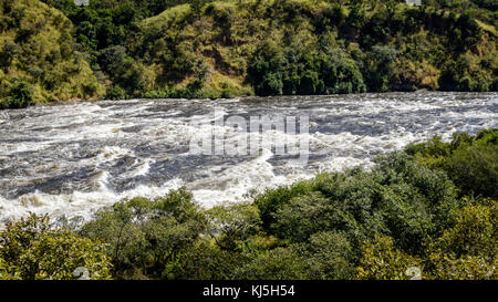 Die Murchison Falls, auch bekannt als Kabalega Falls, ist ein Wasserfall zwischen Kyoga und Lake Albert auf dem Weißen Nil in Uganda. Stockfoto