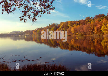 Reflexionen Stockfoto
