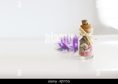 Pflanzliche Heilmittel und mit ätherischen Ölen und natürlichen Pflanzen Aromatherapie. leere Raum für Editor's Text. Stockfoto