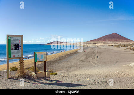 Board zeigt kite Bereich am Strand von El Medano, ein beliebtes Ziel für Surfer auf Teneriffa, Kanarische Inseln, Spanien Stockfoto