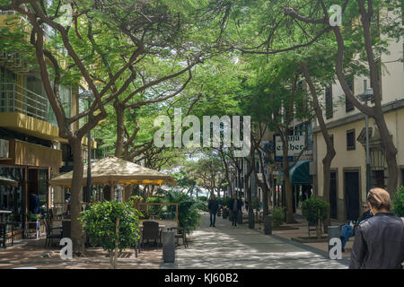 Fußgängerzone mit Bäumen im Zentrum der Hauptstadt Santa Cruz de Tenerife, Teneriffa, Kanarische Inseln, Spanien Stockfoto