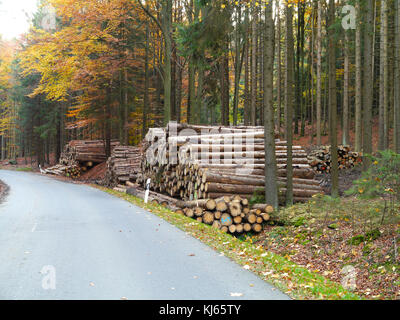 Holzplatz in der Nähe einer Straße im Herbst Stockfoto