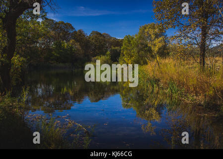 Atemberaubende Herbst Laub rund um einen kleinen See mit Reflexionen von blauen Himmel und Bäume, Eiche Glen bewahren, Oak Glen, Kalifornien Stockfoto