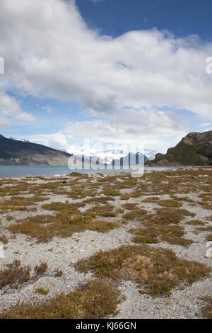 Caleta Wulaia, baie de Wulaia, Chile Stockfoto