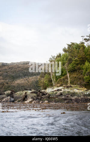 Caleta Wulaia, baie de Wulaia, Chile Stockfoto