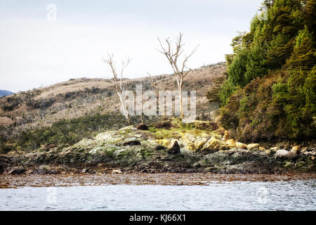 Caleta Wulaia, baie de Wulaia, Chile Stockfoto