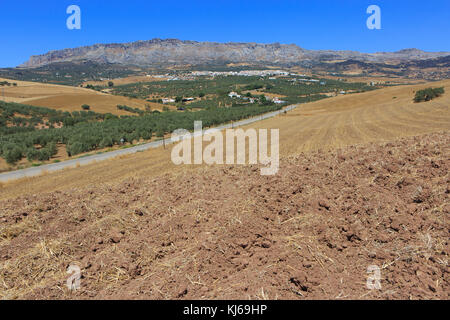 Panoramablick auf den Karst Felsformationen bei El Torcal de Antequera Nature Reserve, gelegen im Süden der Stadt Antequera, Spanien Stockfoto