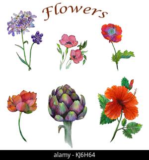 Ursprünglichen Aquarell Malerei von verschiedenen Blumen Stockfoto