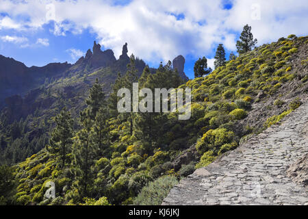 Wanderung nublo auf Gran Canaria Roque. Spanien. Stockfoto