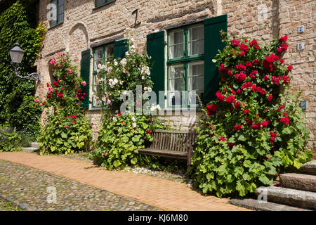 Fassade mit Rosen, Rostock, Mecklenburg-Vorpommern, Deutschland, Europa Stockfoto